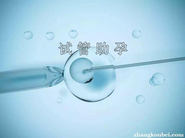 试管婴儿借卵(试管婴儿借卵：新生命的奇迹)
