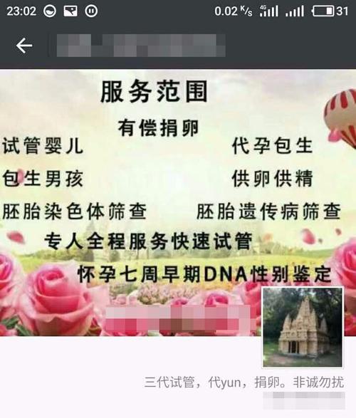 泰国试管代生孩子qq群(泰国试管代生孩子QQ群交流社区)